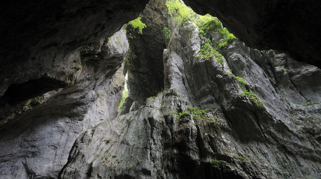 2209-Skocjan-Caves