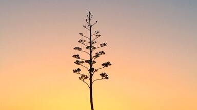 Morning travels across the great state of Texas