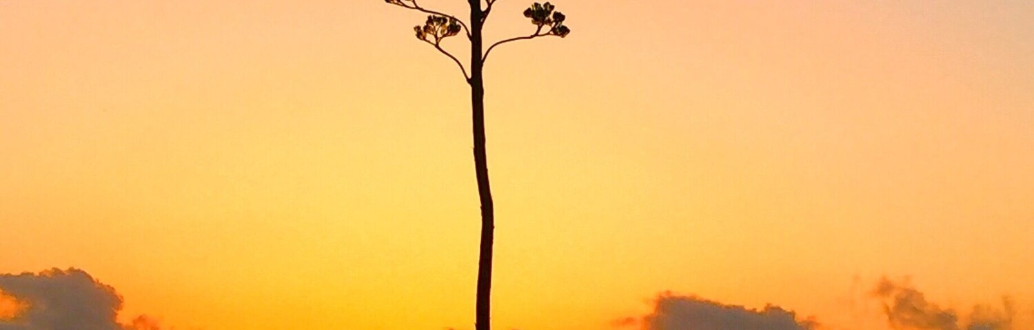 Morning travels across the great state of Texas