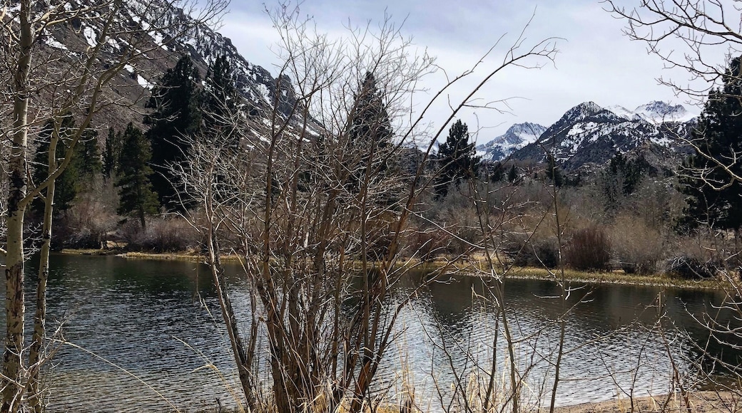 Intake 2 is on the wAy to Lake Sabrina. A beautiful spot to enjoy the outdoors and only 15 minuets from Bishop Ca