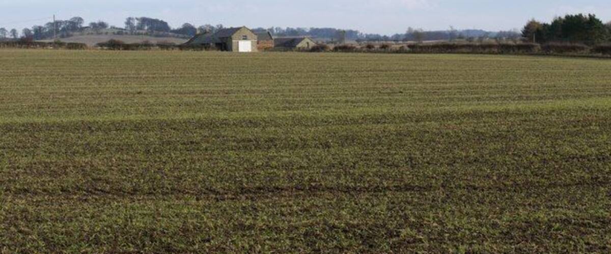 A vast agricultural field with a small building in the distance.