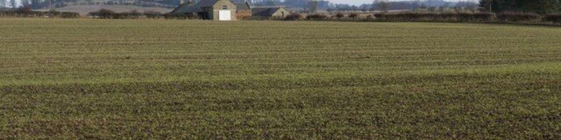 A vast agricultural field with a small building in the distance.
