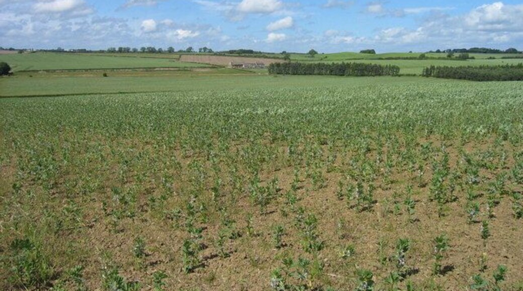 Farmland looking towards North Dunslawholm Farm.