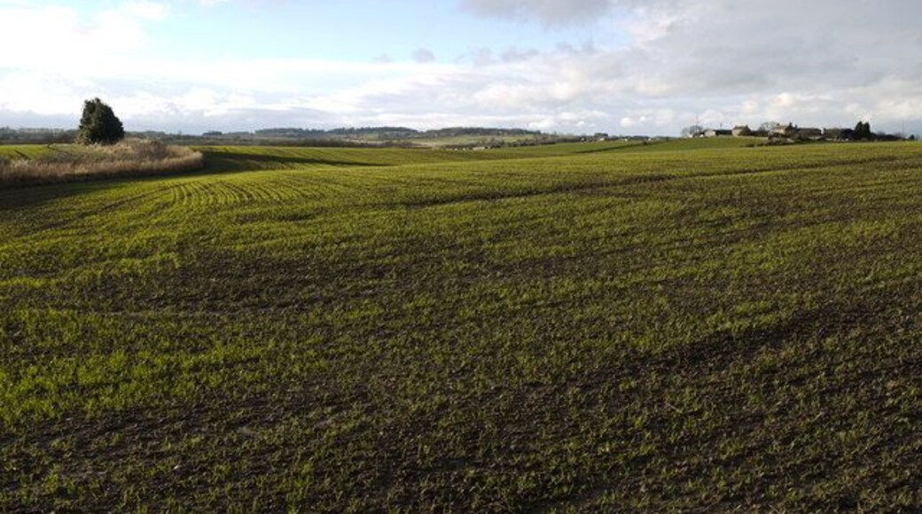 Arable fields east of Whittle Farm