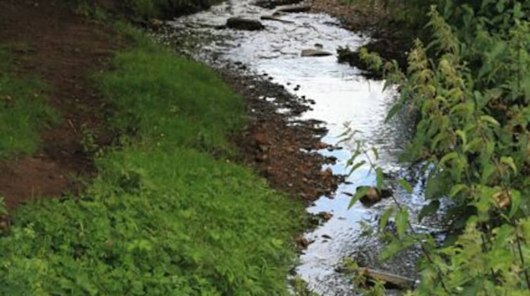 Golden Brook is Silver Eventually to flow through the centre of Long Eaton, here Golden Brook sees its first human habitation.