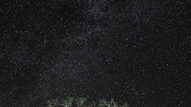 There was a boat on the water throwing great light on these trees