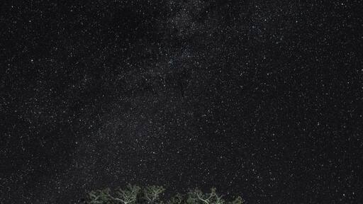 There was a boat on the water throwing great light on these trees