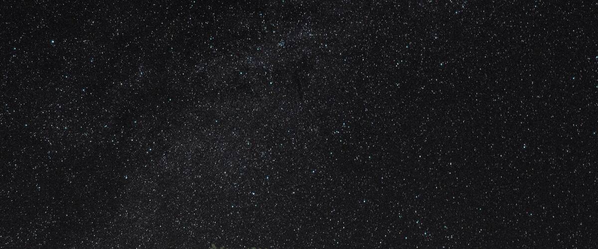 A starry night sky over a forest with tall trees.