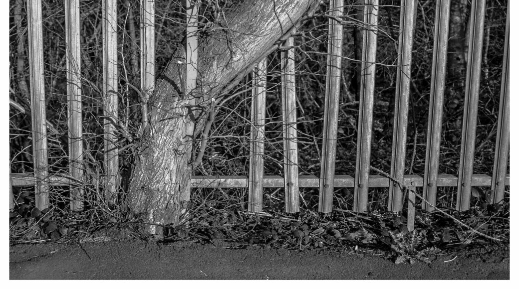 Not much can hold back nature,