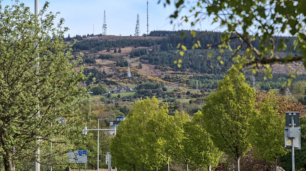 Beautiful closeup creative view of Three Rock TV transmitter antennas among spring leaves viewed from Ballinteer, Dublin, Ireland. Cellular towers. Creative shot