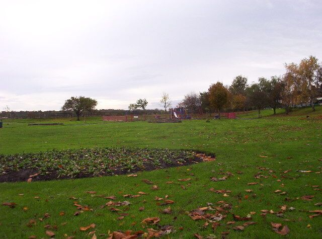 A grassy field with scattered fallen leaves, a few trees, and a distant building.