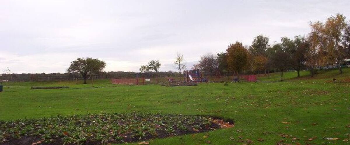 A grassy field with scattered fallen leaves, a few trees, and a distant building.