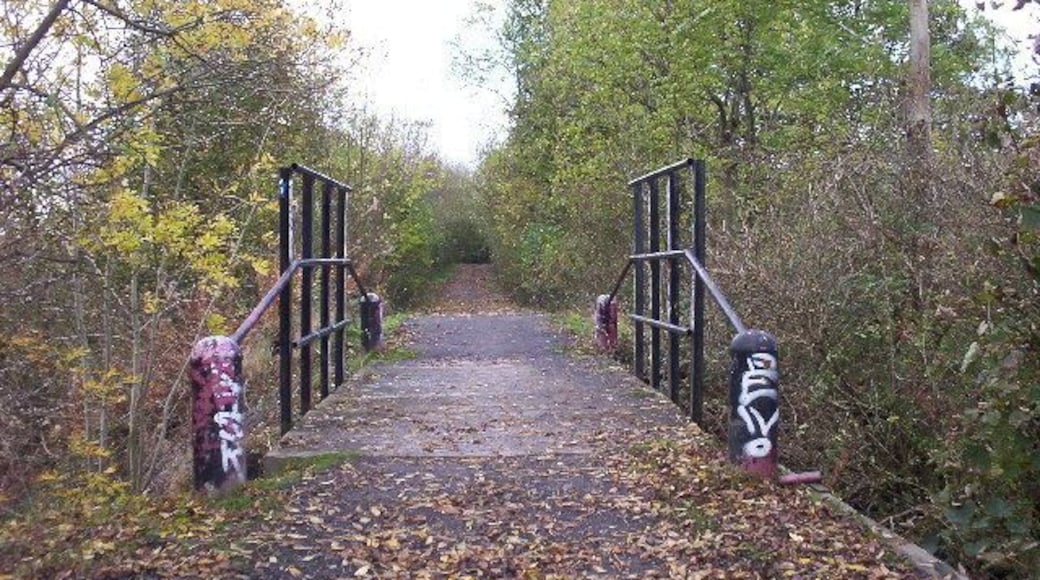 Bridge on Disused Wagonway. View looking west along a disused wagonway which runs eastwards from Wideopen.