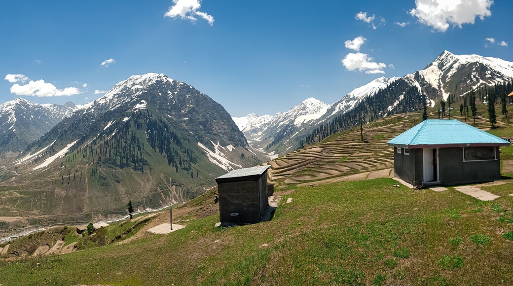 Lalazartop; Naran, Pakistan! It is a stunning Hill Station that one cannot afford to miss at an elevation of 3,123 metres (10,246 ft), located in upper Kaghan Valley, near famous Babusar Pass.