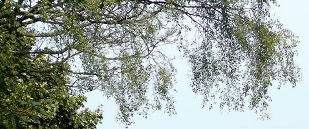 Staffordshire and Worcestershire Canal at Stewponey, Staffordshire The origin of the name Stewponey has never been accurately explained. Suggestions include a corruption of Estepona, referring to an early connection with the Spanish town of the same name, and stewpons which were medieval ponds used by monks for keeping carp as a food supply. (from the S & W Canal Society website) http://www.swcs.org.uk/education.htm .