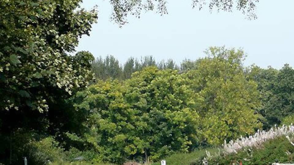 Staffordshire and Worcestershire Canal at Stewponey, Staffordshire The origin of the name Stewponey has never been accurately explained. Suggestions include a corruption of Estepona, referring to an early connection with the Spanish town of the same name, and stewpons which were medieval ponds used by monks for keeping carp as a food supply. (from the S & W Canal Society website) http://www.swcs.org.uk/education.htm .