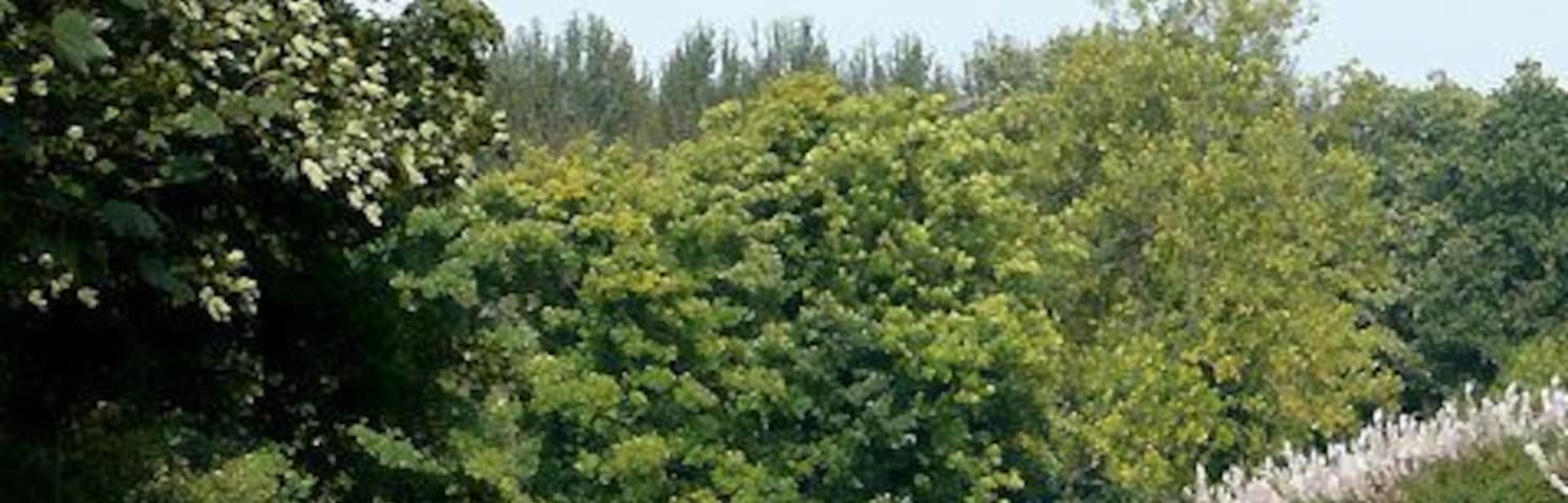 Staffordshire and Worcestershire Canal at Stewponey, Staffordshire The origin of the name Stewponey has never been accurately explained. Suggestions include a corruption of Estepona, referring to an early connection with the Spanish town of the same name, and stewpons which were medieval ponds used by monks for keeping carp as a food supply. (from the S & W Canal Society website) http://www.swcs.org.uk/education.htm .