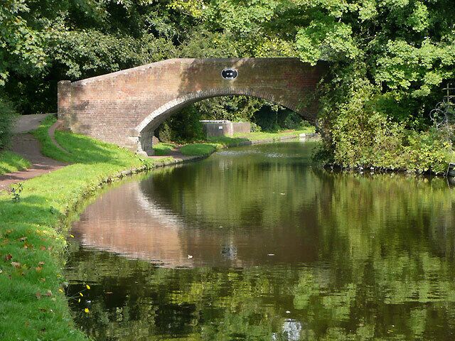 Un puente de piedra sobre un río tranquilo, rodeado de abundante vegetación.