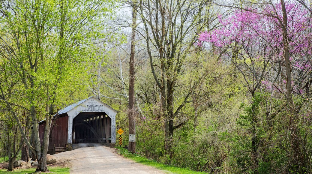 609-21 Cox Ford Bridge in Spring