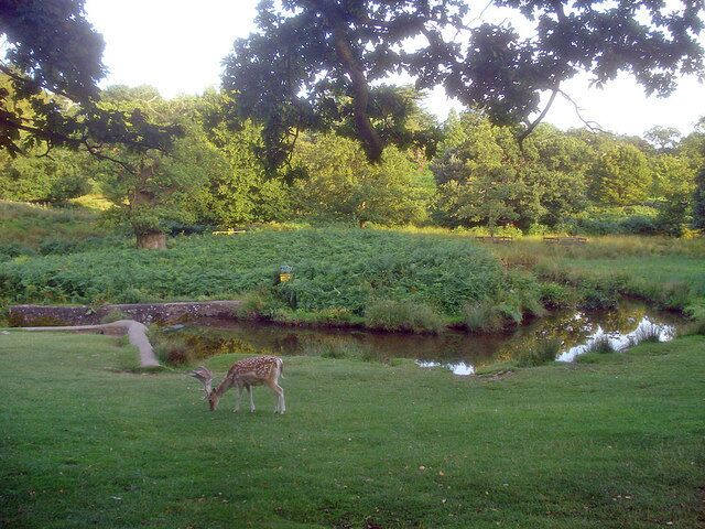 River Lin in Bradgate Park The river here snakes through the deer park and has several artificial pools. Bradgate Park is the most visited country park in Leicestershire.