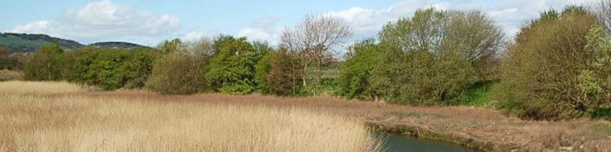 Motray Burn The Motray Burn from the old road bridge at Guardbridge.