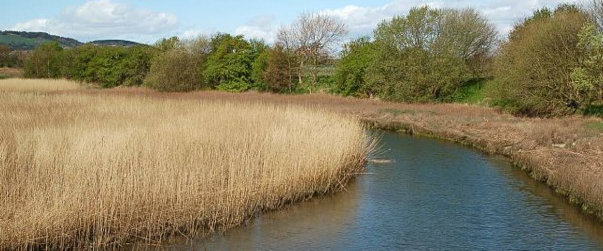 Motray Burn The Motray Burn from the old road bridge at Guardbridge.