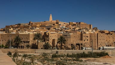 Beni Isguen ancient town, aerial view, Ghardaia Province, M'Zab Valley, Algeria