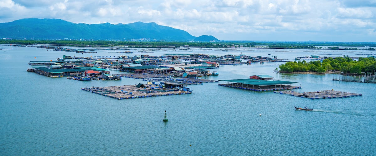 A corner of the oyster feeding farm, float fishing village in Long Son commune, Ba Ria Vung Tau province Vietnam. People living and doing feed fish industry at floating village.