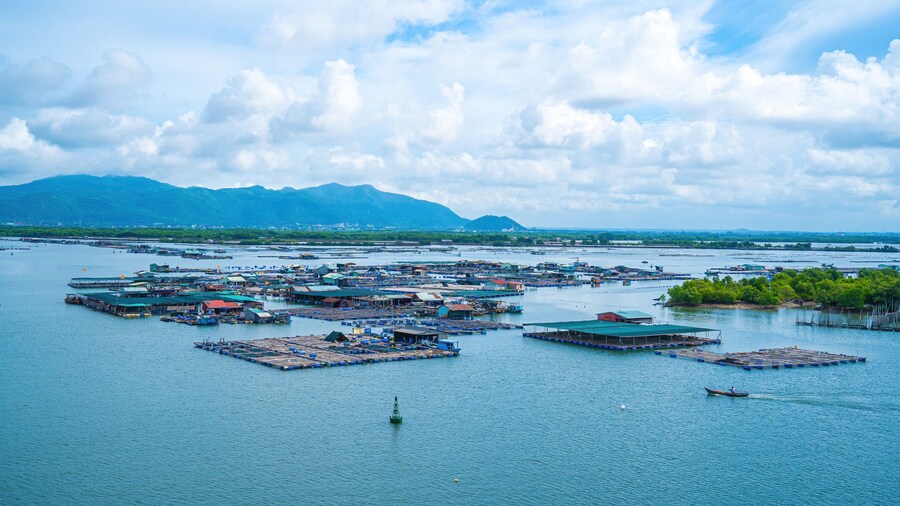 A corner of the oyster feeding farm, float fishing village in Long Son commune, Ba Ria Vung Tau province Vietnam. People living and doing feed fish industry at floating village.