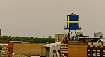 Andersonville Chicago neighborhood Icon flag water tower was replaced with a replica when the original was damaged by a harsh winter. The area was once populated by Swedish farmers.