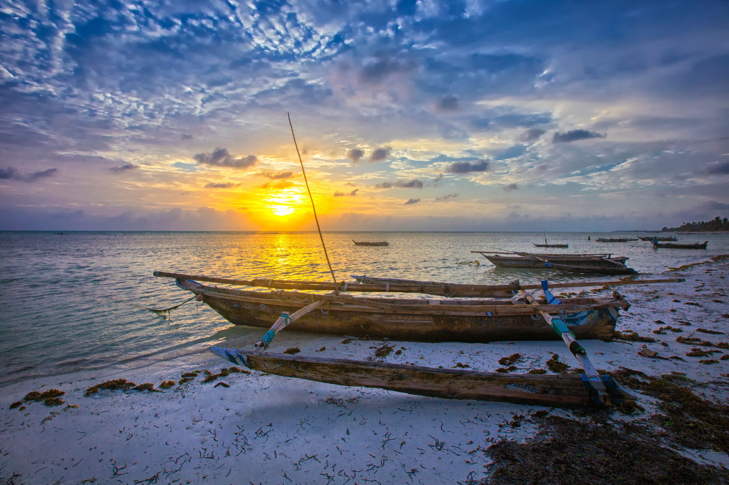 Boat of a fisherman on a tropical beach, Zanzibar, Tanzania