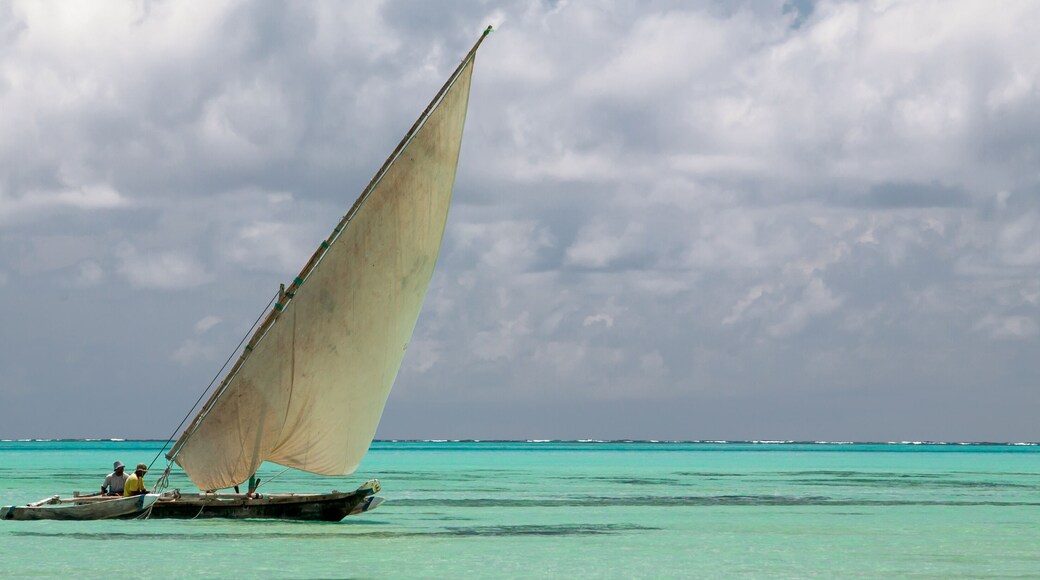 Indian ocean, Zanzibar - typical dhow I
