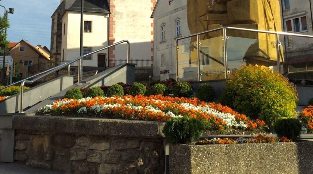Curch in Lenart, Slovenia. #lovemytown
