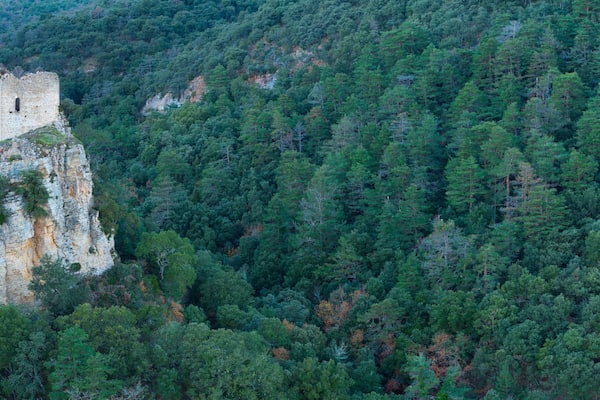 Eine mittelalterliche Burg thront auf einer Klippe, umgeben von dichtem Wald.