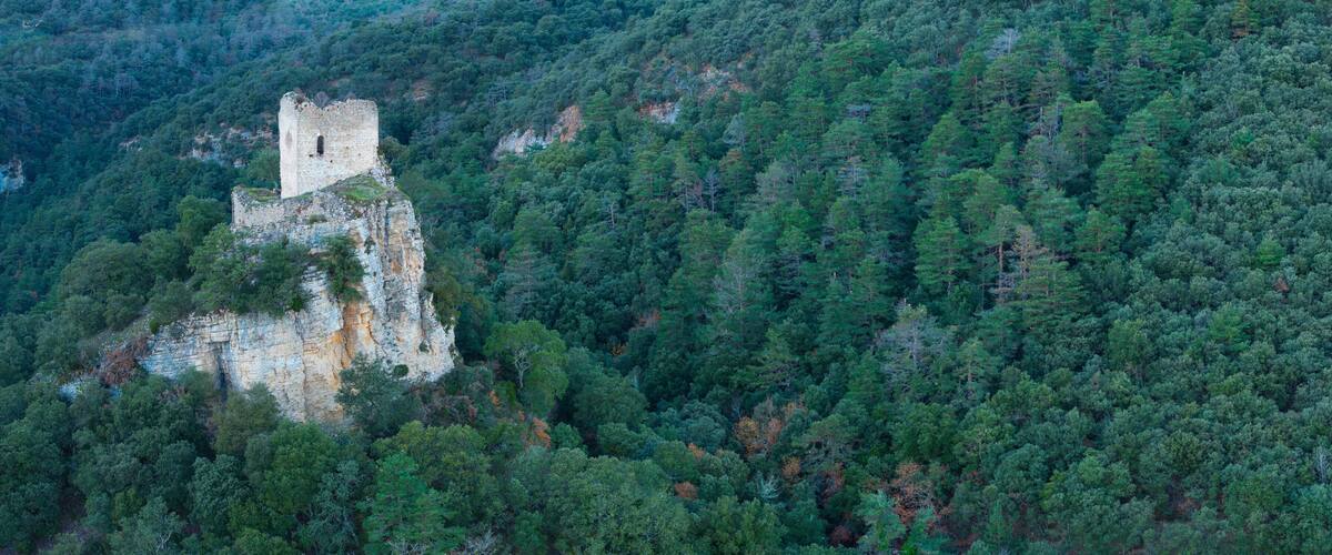 A medieval castle perched atop a cliff surrounded by dense forest.