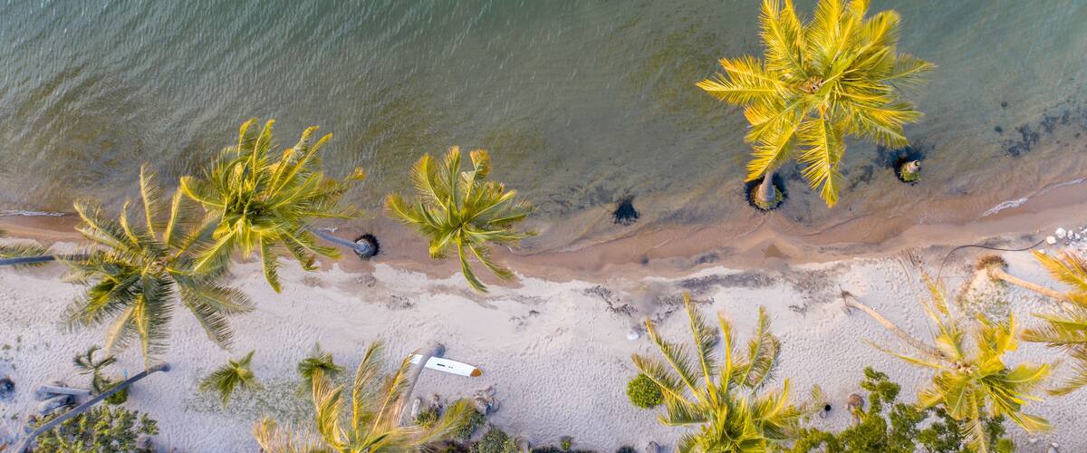 An aerial view of a beach with palm trees and clear water.