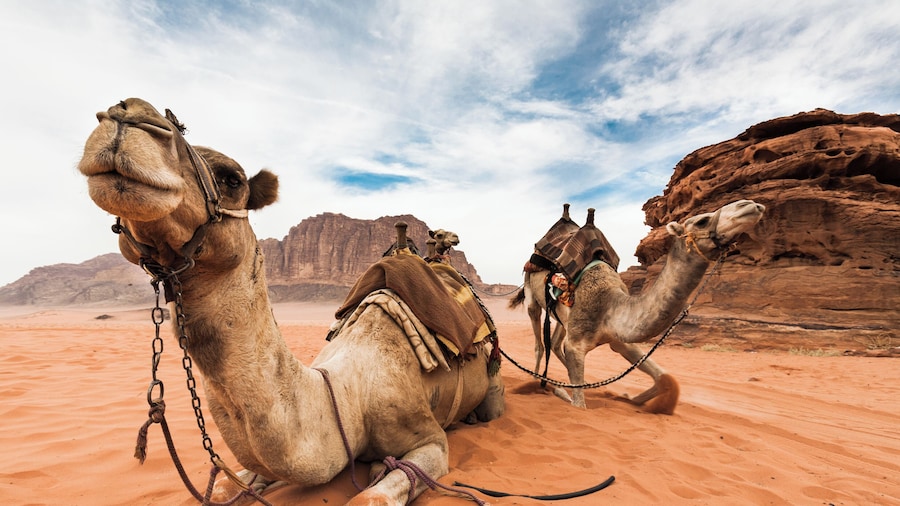 Area Protetta di Wadi Rum