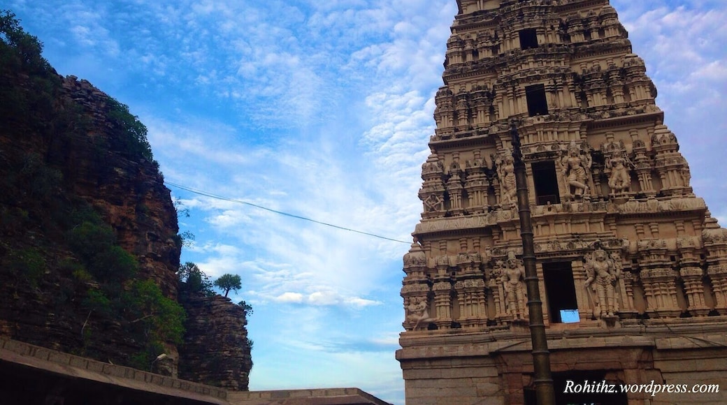 Sri Yaganti Uma Maheswara Temple is one of the few temples patronized by one of the great dynasties of India. This temple is dedicated to Lord shiva...