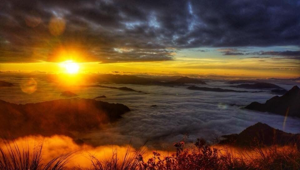 Catching the Sunrise in the Sea of Mist !
#sunrise #everydayasia #phuchifaforestpark