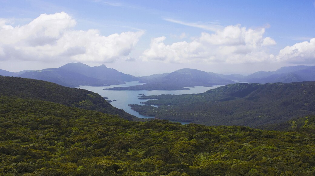 Koyna Wildlife Sanctuary