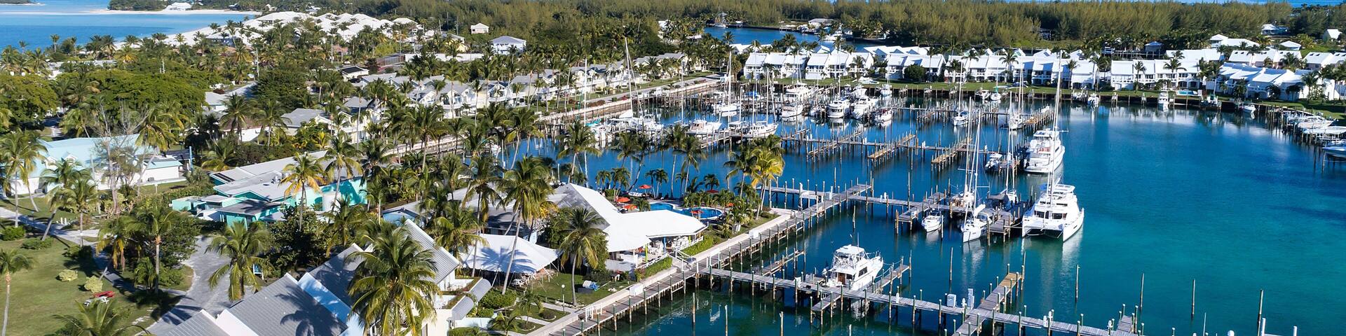 A marina with boats docked, surrounded by residential buildings and palm trees.