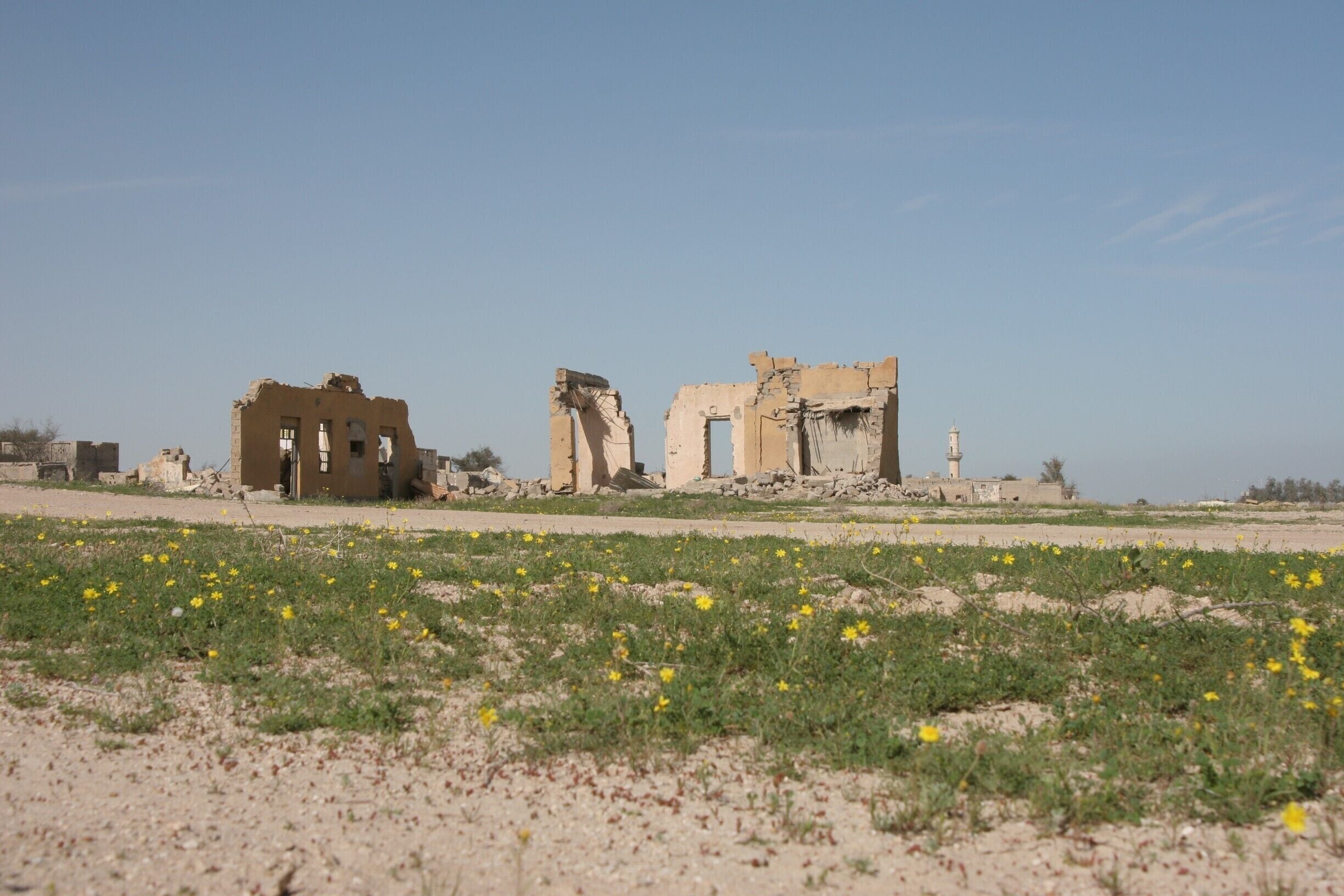This was taken in 2006, so not sure if things have changed since then.  Failaka Island was an Iraqi stronghold during the gulf war and as a result was bombed and saw heavy artillery fire.  It was emptied of Kuwaiti citizens before it was overtaken, but very few citizens had returned.  Nature still finds a way to recover though...