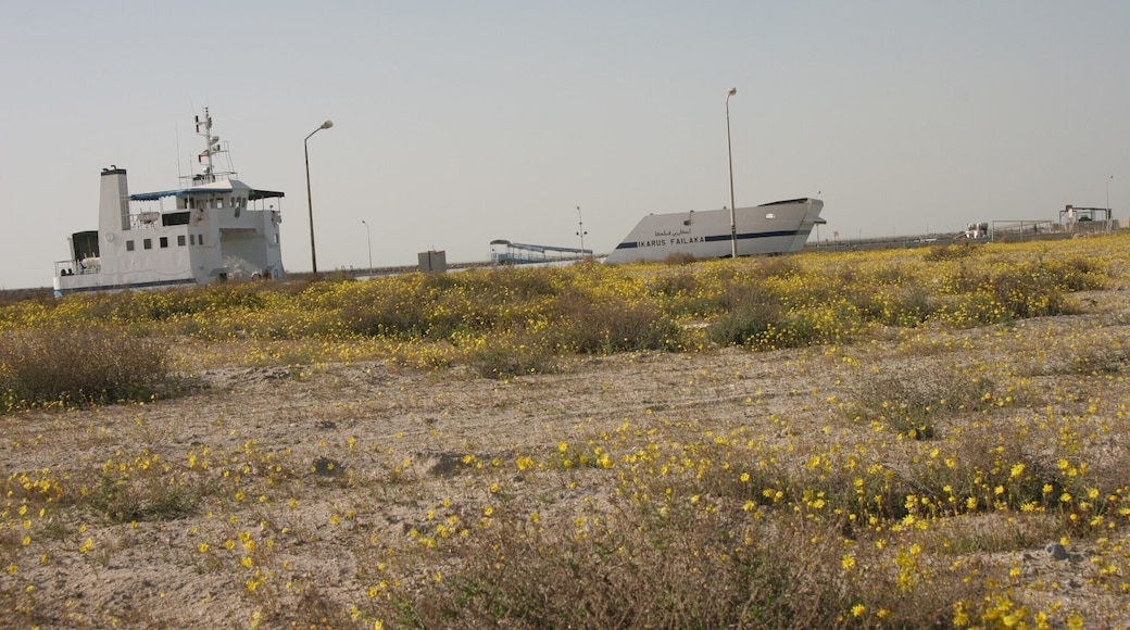 The vehicular barge from Kuwait City to Failaka Island. There are no amenities on board and in 2006 the timings were erratic and there was no schedule in English or English speakers at the terminal, but somehow I still managed to get there and back again... It looks like the Heritage Village has been restored and is up and running again, so there are probably more facilities here now.
http://www.safirhotels.com/hotel.aspx