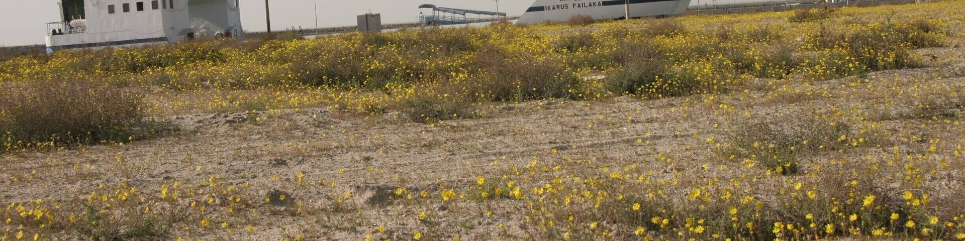 The vehicular barge from Kuwait City to Failaka Island. There are no amenities on board and in 2006 the timings were erratic and there was no schedule in English or English speakers at the terminal, but somehow I still managed to get there and back again... It looks like the Heritage Village has been restored and is up and running again, so there are probably more facilities here now.
http://www.safirhotels.com/hotel.aspx