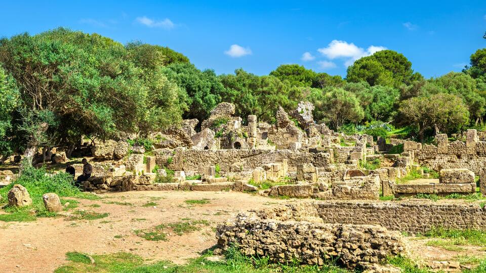 Ancient ruins surrounded by dense green trees.