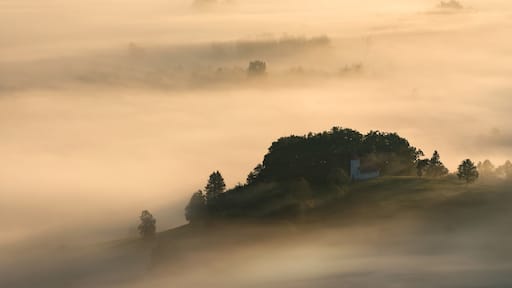 I have hiked numerous times to this spot for the fog and the light to be just right.
My photography has been flat and not improving for quite some time now as well. I think your guidance would help me overcome this barrier and get a new perspective. #BvSCrete