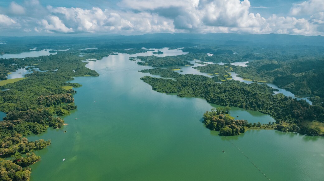 Un grand fleuve serpentant à travers une forêt dense, avec plusieurs îles et un ciel nuageux.