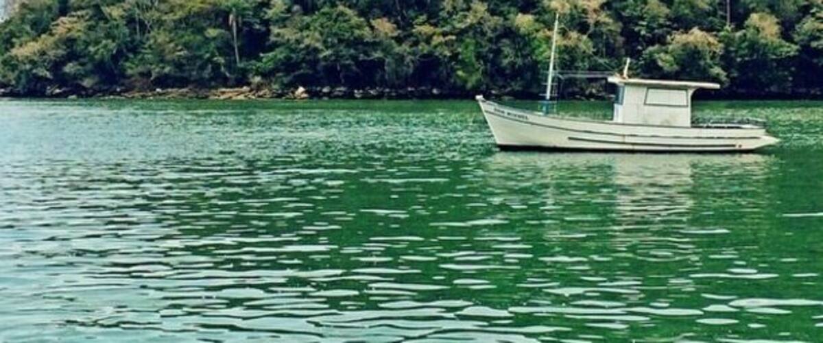 A boat on calm water with a forested hill in the background.