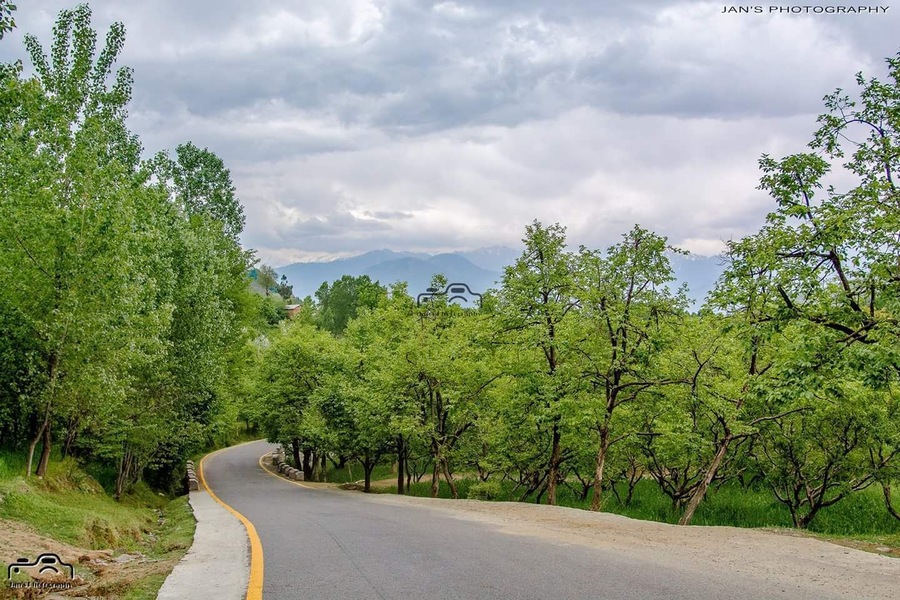 Our beautiful area like paradise