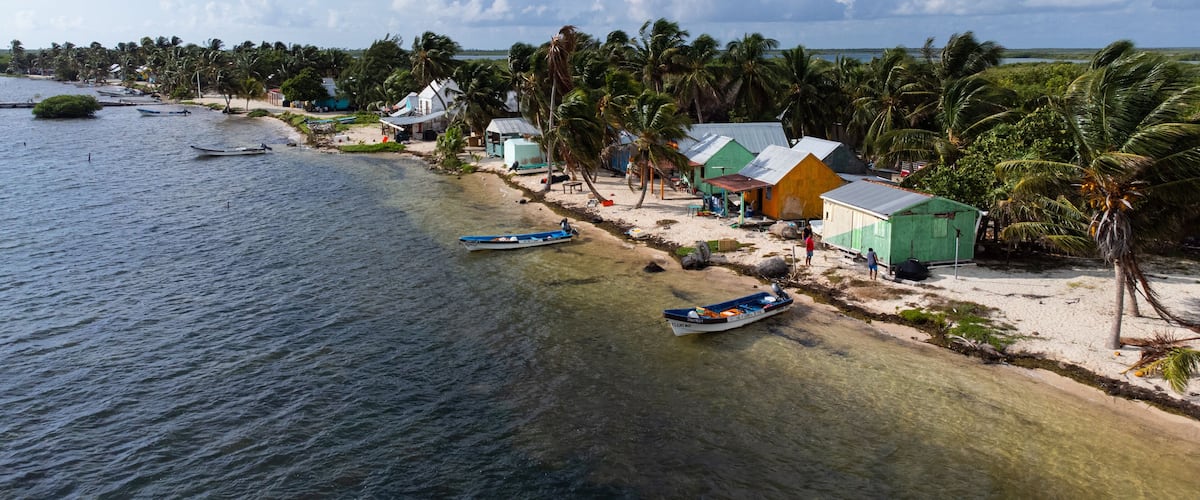 A coastal village with houses, boats, and palm trees.